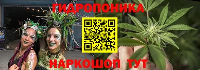 ПСИЛОЦИБИНОВЫЕ ГРИБЫ Кинель