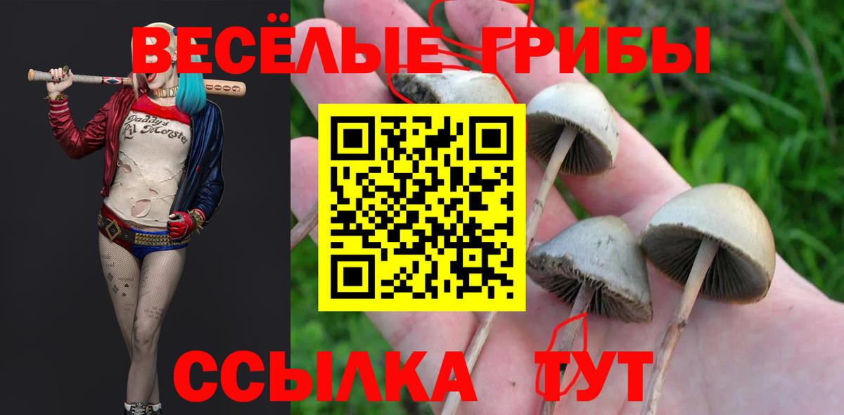 Дивногорск  Галлюциногенные грибы ЛСД  Вход с VPN 